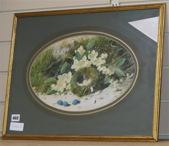 William Cruikshank (1849-1922), a birds nest with blossom and berries signed, watercolour - oval, 24cm x 37cm